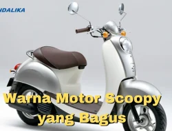 Rekomendasi Warna Motor Scoopy yang Bagus & Stylish !