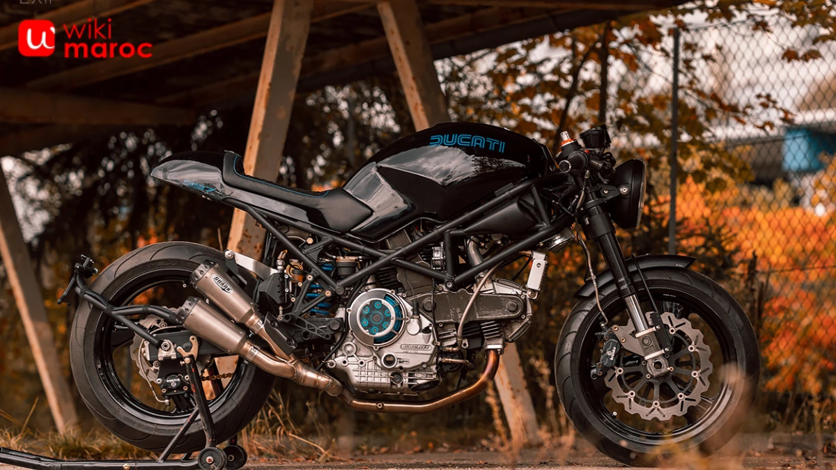 ducati monster